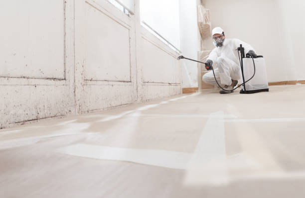 24/7 Emergency Mold Cleanup experts in Jamestown, NY